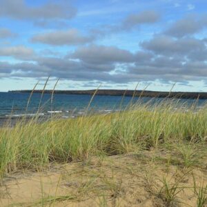 Cloudy Lake Superior Shoreline Art