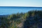 Shade On Lake Superior Art