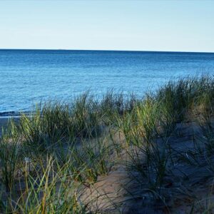 Shade On Lake Superior Art