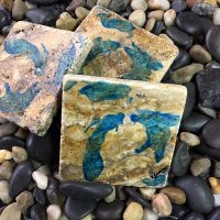 Great Lakes Shores Coasters