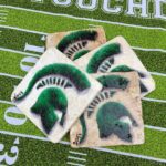 MSU Spartan Coaster