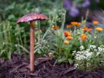 Mushroom Rain Gauge Solid Copper - Image 3