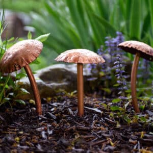 Mushroom Sculpture Trio