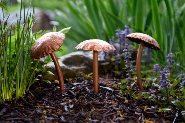 Mushroom Sculpture Trio