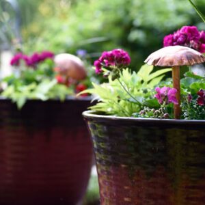 Mushroom Sculpture in Potted Plant