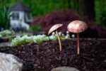 Solid Copper Single Mushroom Sculpture - Image 2