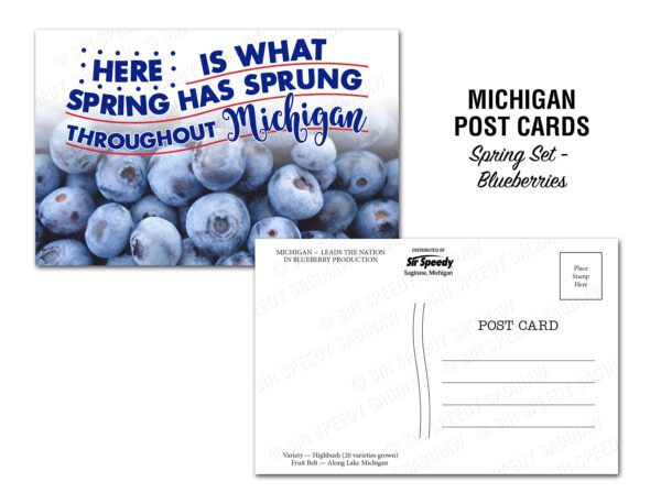Michigan Blueberries Postcard