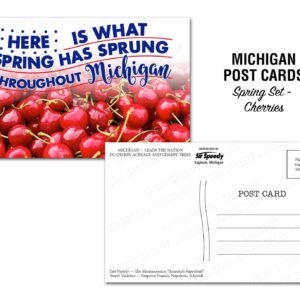 Michigan Cherries Postcard