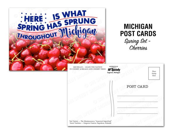 Michigan Cherries Postcard