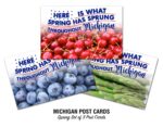 Michigan's Top Spring Crops Postcards
