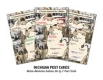 Native American Indian Tribes Postcards