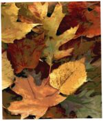 Photo Mouse Pad / Surface Pad / Appliance Pad - Image 11