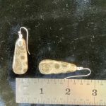 Petoskey Stone Dangle Earrings Wires - Image 2