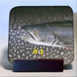 Michigan Fish Coaster #1