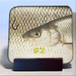 Michigan Fish Coaster #2