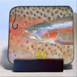 Michigan Fish Coaster #6