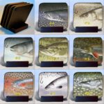 Michigan Fish Coaster Set with Wood Display Stand