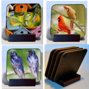 Hardboard Michigan Birds Coasters with Wood Stand