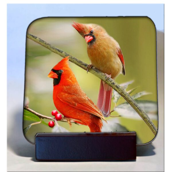 hardboard coaster cardinals