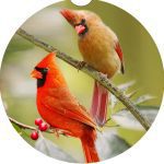 Michigan Bird Car Coaster Set Neoprene Car Cup Holder Coasters - Image 2