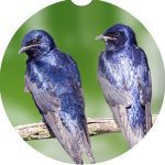 Michigan Bird Car Coaster Set Neoprene Car Cup Holder Coasters - Image 4