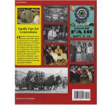 A Family Fun Affair Book Back Cover