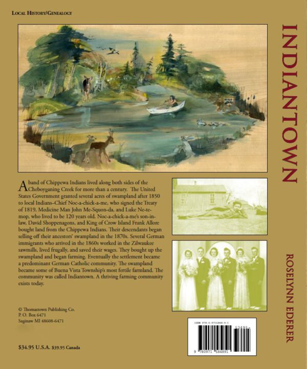 Indiantown Book Back Cover
