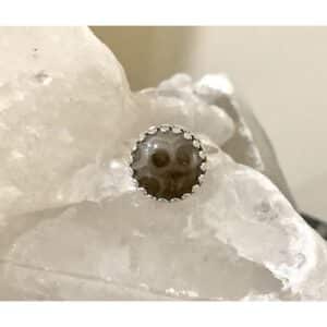 Petoskey Stone Ring - Round 12mm Set in Sterling Silver Gallery Bezel