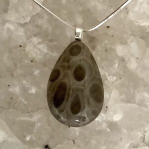 Teardrop Petoskey Stone Necklace