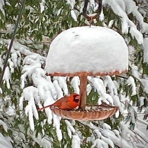 Browersmith Copperworks Bird Feeder