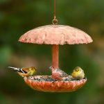 Pure Copper Bird Feeder
