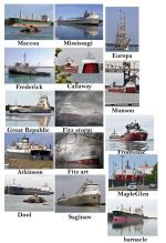 Scenic Michigan Puzzles4