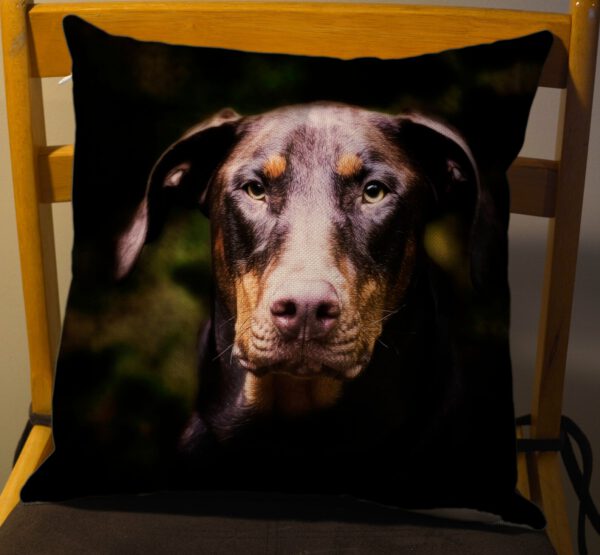 Custom Throw Pillow Dog Pic