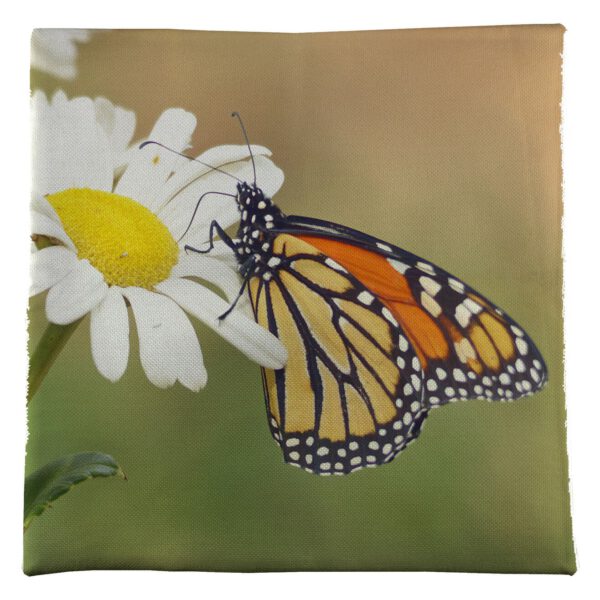 Daisy Butterfly Pillow