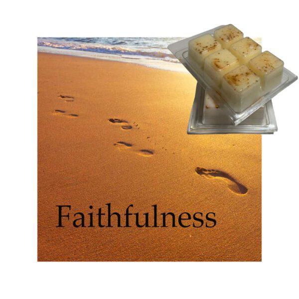 Faithfulness Scented Wax Melt 100% Coconut