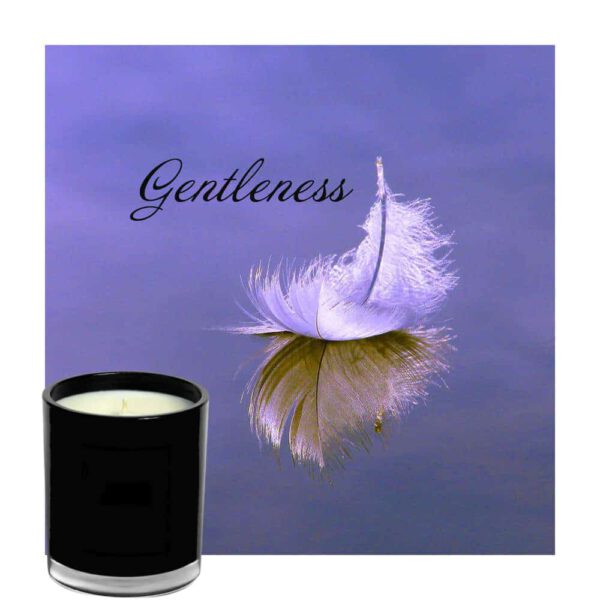 Gentleness Candle Luxury Black Vessel Jar