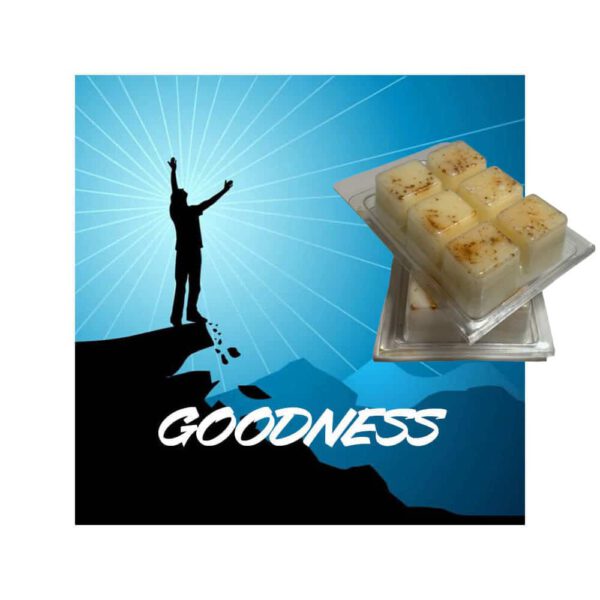 Goodness Scented Wax Melt 100% Coconut