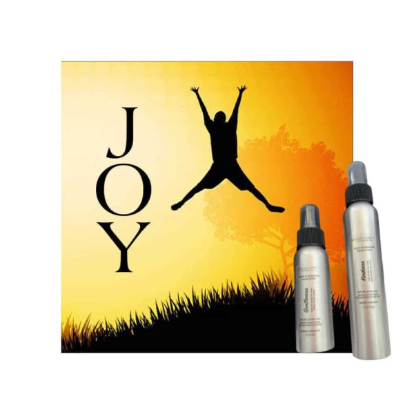 Joy Fabric Room Spray Odor Eliminator