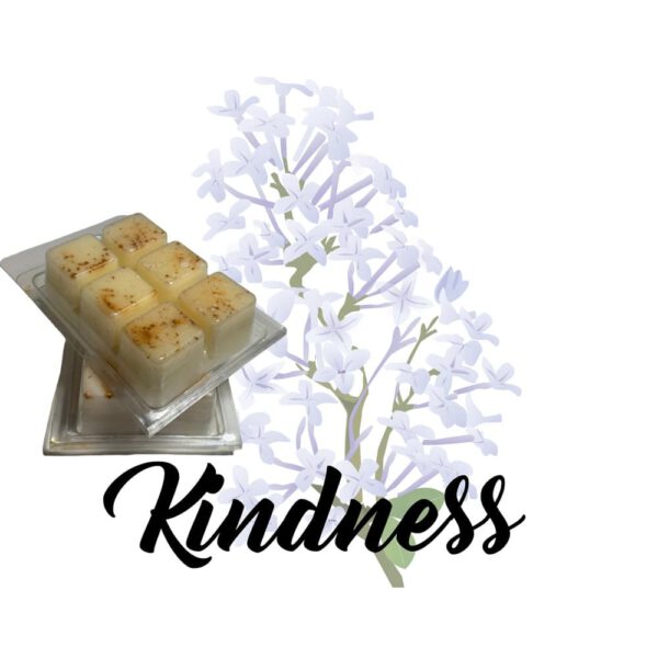Kindness Scented Wax Melt 100% Coconut