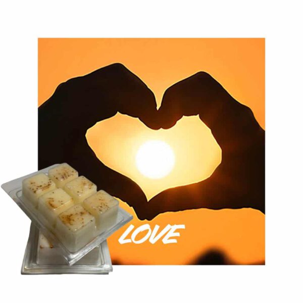 Love Scented Wax Melt 100% Coconut