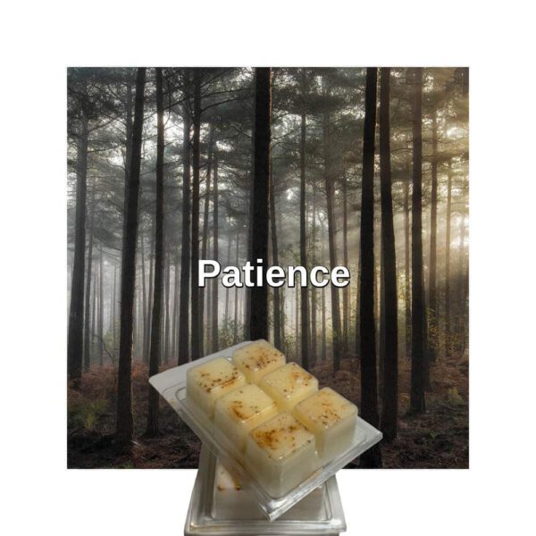 Patience Scented Wax Melt 100% Coconut