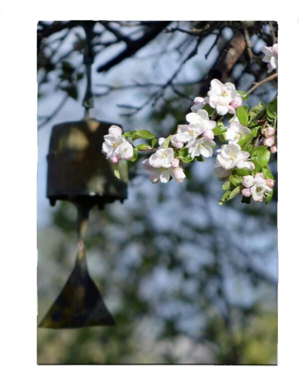 Apple Blossoms Garden Flag