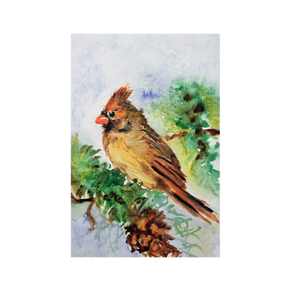 Lady Cardinal Bird Nature Art Print