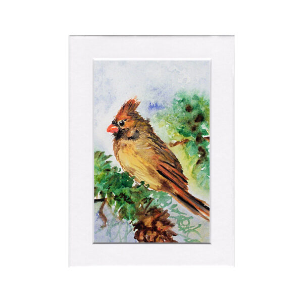 Lady Cardinal Print Bird Nature Art