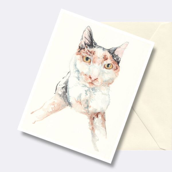 Look Into My Eyes Calico Cat Greeting Card