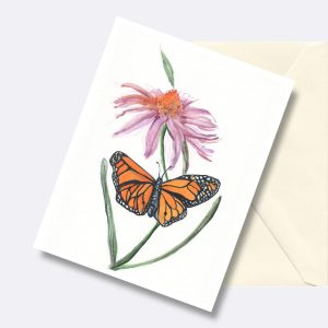 Monarch Butterfly and Coneflower Greeting Card Nature Art Cards2