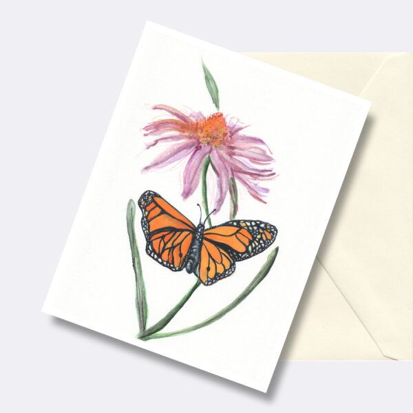 Monarch Butterfly and Coneflower Greeting Card Nature Art Cards2