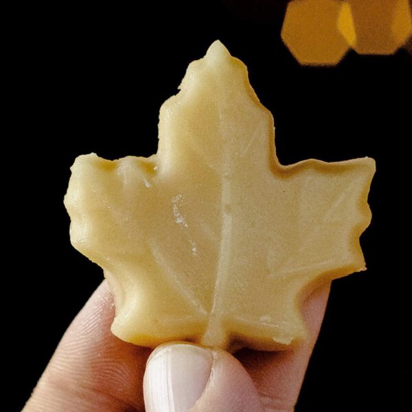 Maple Candy In Hand