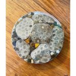 Petoskey Stone Coaster
