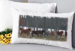 Horizontal Lumbar Pillow Mackinac Island Horses